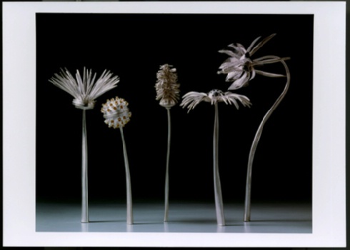 Wildflower Set von Havdalah Gewürzbüchsen, zu sehen im Ausstellungssegment "Tradition und Wandel", von Paula J. Newman, Oakland, Californien 2002 © Jüdisches Museum Berlin