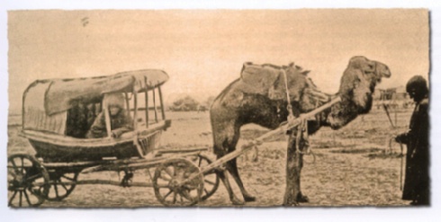 4. Turkmenistan. Nel secolo scorso anche il trasporto delle persone veniva assicurato da carretti coperti trainati da cammelli. (Arch. del National Museum of Turkmenistan); ibid., pg 26.