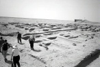 Early Dynastic (c. 2600 BC) Administrative building (palace) excavated by Iraqi Department of Antiquities at Umm al-Aqarib