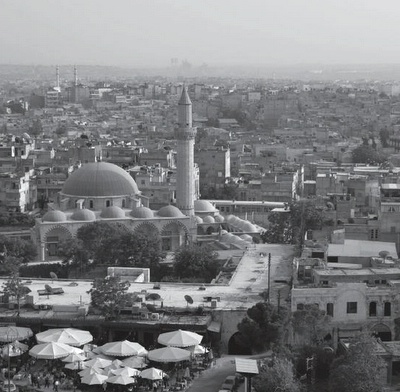 Vue d'Alep, Syrie, photo Shutterstock © O. Kolos