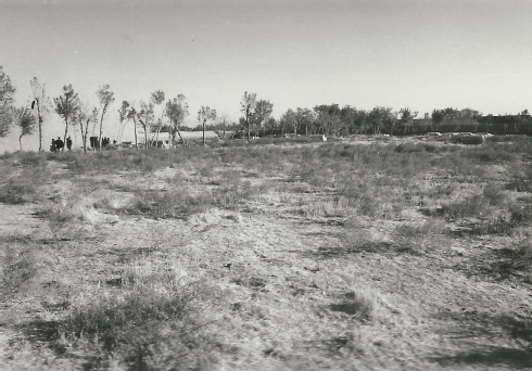 Fig.35 The oldest part of the Herat Jewish cemetery with the younger graves (in the background on the right) and the approx. 250 to 300 year old graves behind the row of trees (center of the picture); the administrator's house (on the left)- Courtesy of Werner Herberg, 1973